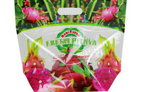 Kundenspezifische bedruckte Laminierte Drachenfrucht Verpackungsbeutel