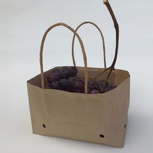 Bolsa de papel Kraft de resistencia húmeda para uvas de mesa con asa torcida