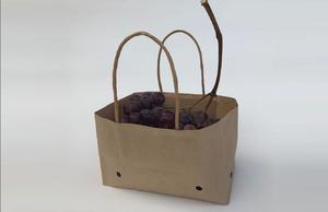 Wet Strength Kraft Paper Bag For Table Grapes With Twisted Handle
