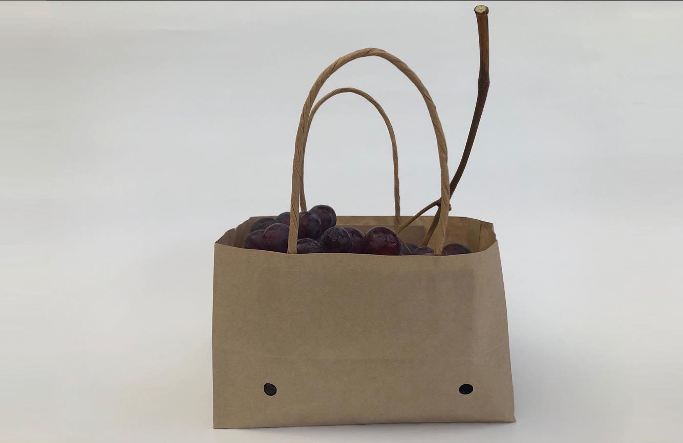 sacchetto di carta per uva da tavola
