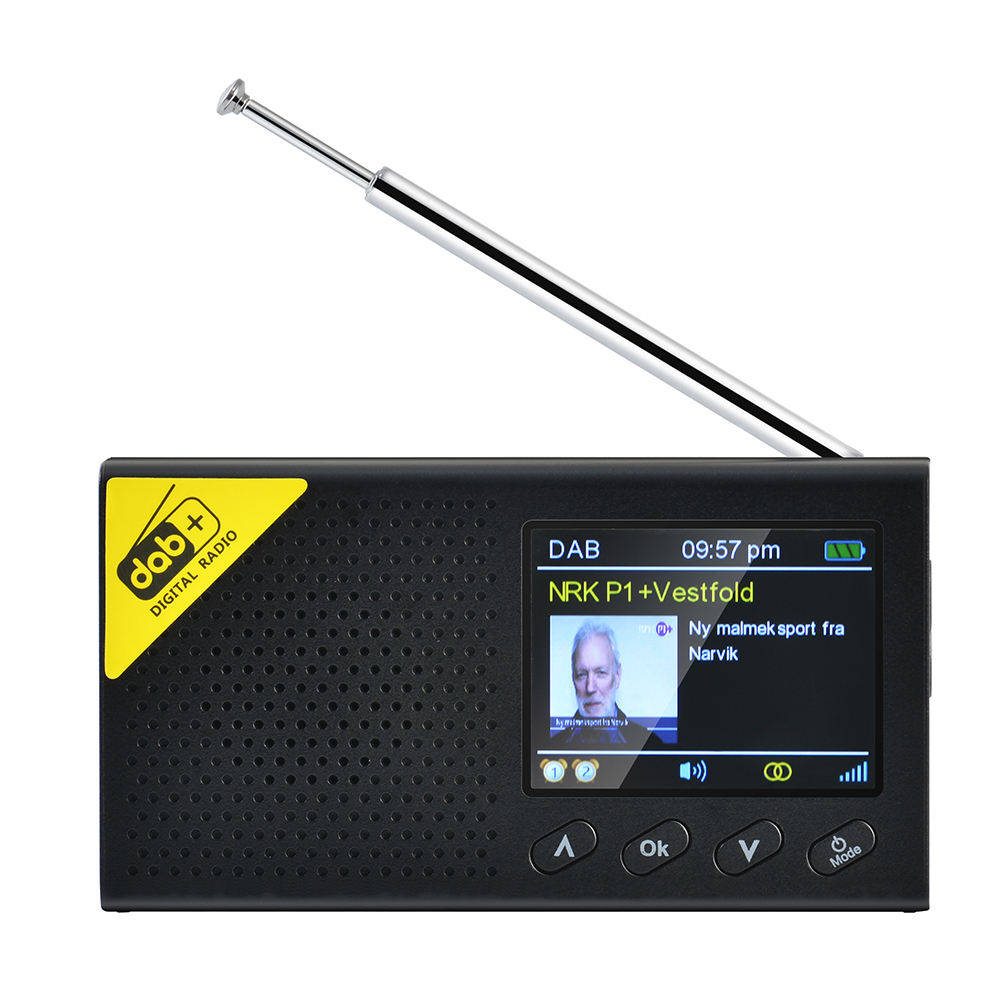 Portable DAB /DAB+ Auto Digital Fm Radio With BT