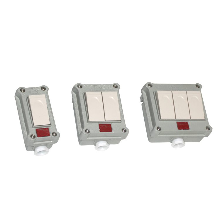 Explosion Proof Wall Switch