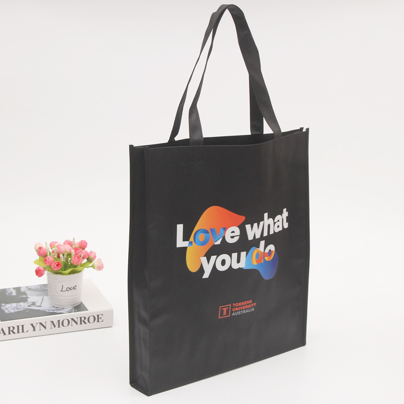 Bolso de mano barato impreso a medida reciclable bolsas de compras no tejidas con logotipo