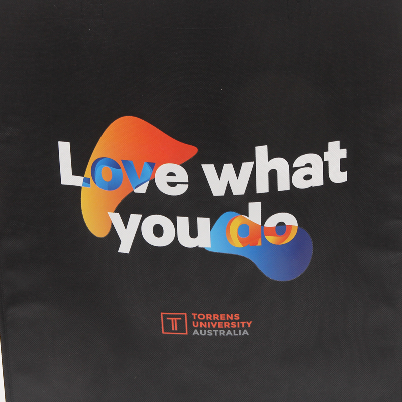 Tania torba na zakupy Custom Printed Recyclable Shopping Tote Non Woven Bag z logo