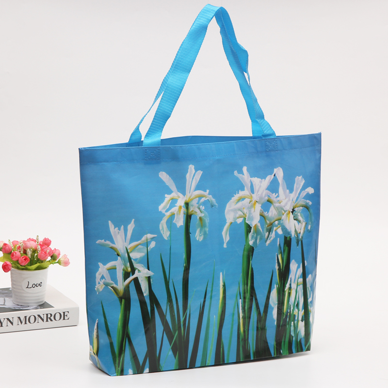 Reusable Polypropylene Packaging Laminated Eco Non Woven Carry Bag Shopping Tote  Bag