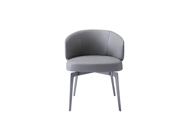 Elegant Modern Fabric Metal Dining Chair for Dining Room