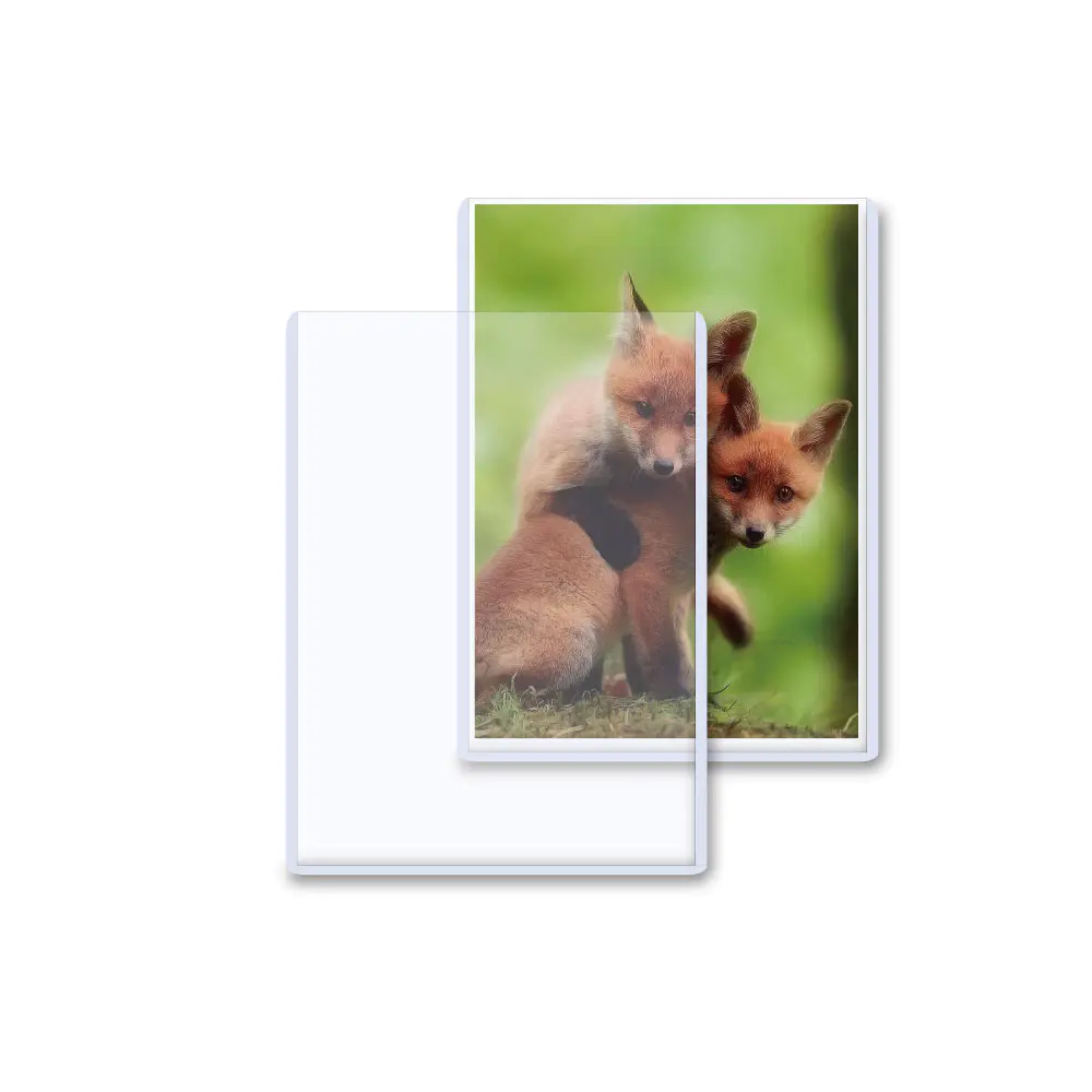 6x8 - Hard Plastic Rigid Toploader Holder For Photograph Postcards Photos Oversized Printed Jumbo Card