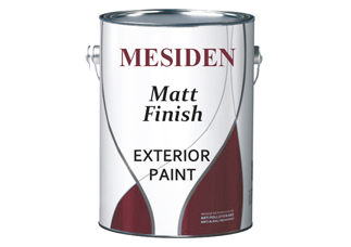 Exterior Emulsion Wall Paint - E2