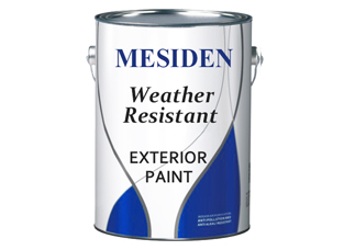 Exterior Emulsion Wall Paint - E1
