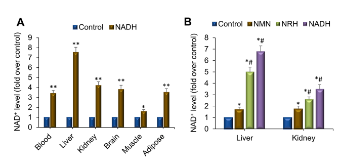 NADH enhanced tissue NADþ levels in  vivo.