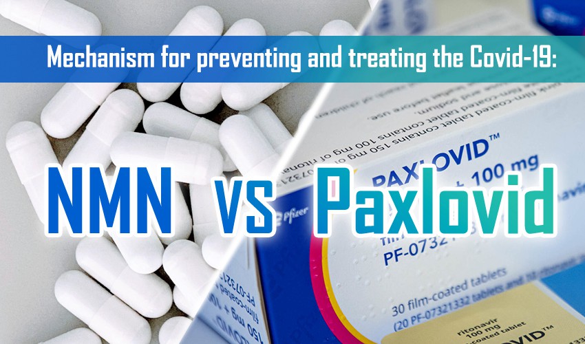 Mechanizmus prevencie a liečby Covid-19: NMN VS Paxlovid