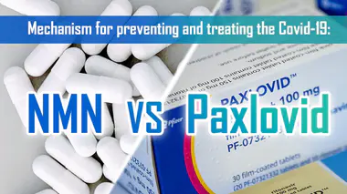 Covid-19 prevencijos ir gydymo mechanizmas: NMN VS Paxlovid