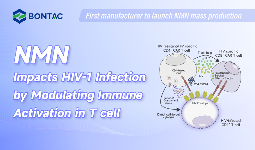 NMN beïnvloedt HIV-1-infectie door immuunactivering in T-cel te moduleren
