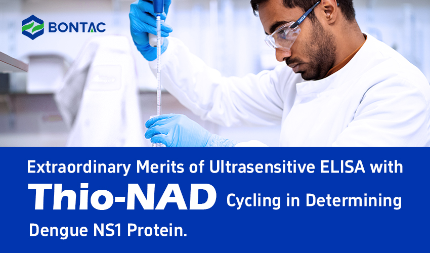 Mimoriadne prednosti ultrasenzitívneho testu ELISA s cyklom tio-NAD pri určovaní proteínu dengue NS1