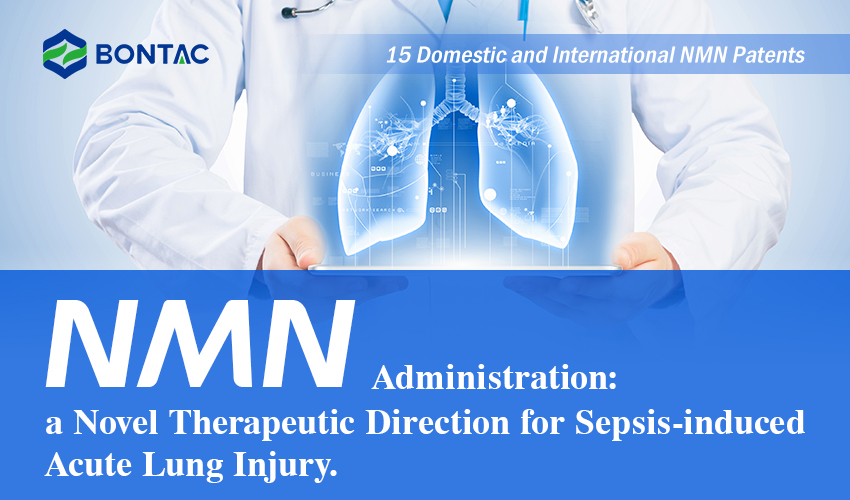 Podawanie NMN: nowy kierunek terapeutyczny w ostrym uszkodzeniu płuc wywołanym sepsą