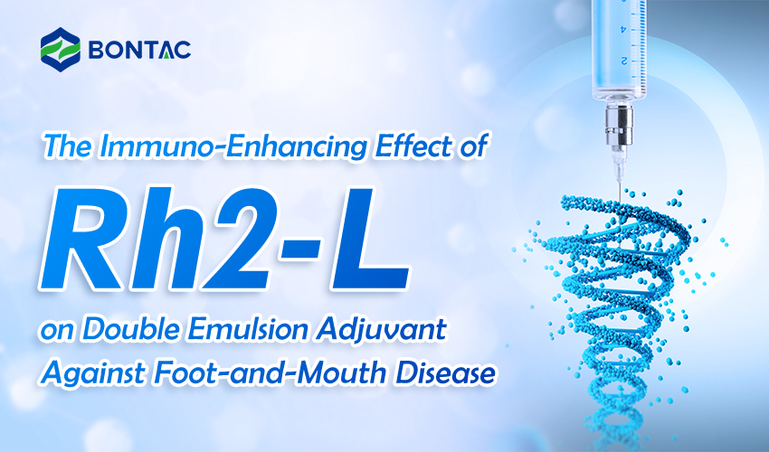 Wzmacniające odporność działanie Rh2-L na podwójny adiuwant emulsyjny przeciwko pryszczycy