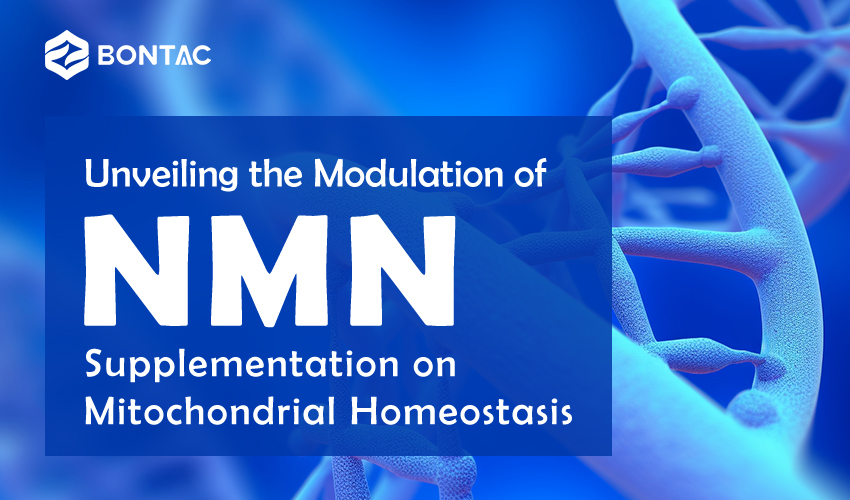 Odhalenie modulácie NMN suplementácie mitochondriálnej homeostázy