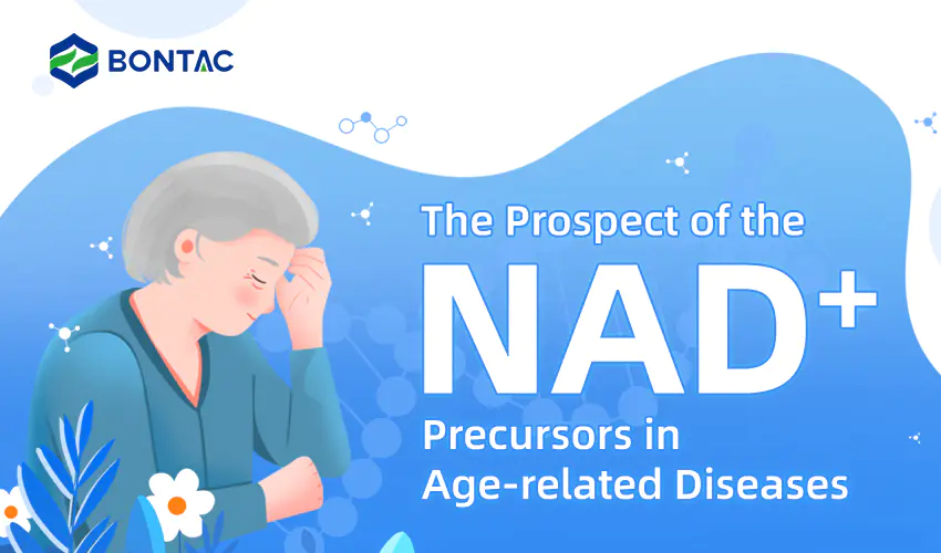 Vyhlídky prekurzorů NAD+ u nemocí souvisejících s věkem