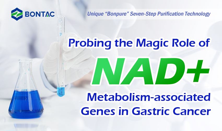 Badanie magicznej roli genów związanych z metabolizmem NAD + w raku żołądka
