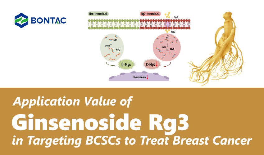 Valor de aplicação de Ginsenoside Rg3 no alvo BCSCs para tratar o câncer de mama