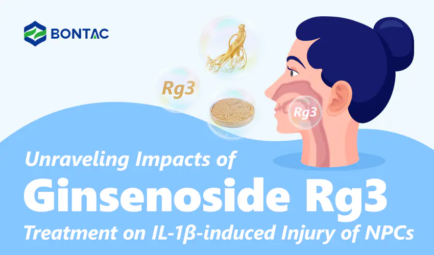 Unraveling Impacts of Ginsenoside Rg3 Treatment on IL-1β-induced Injury of NPCs