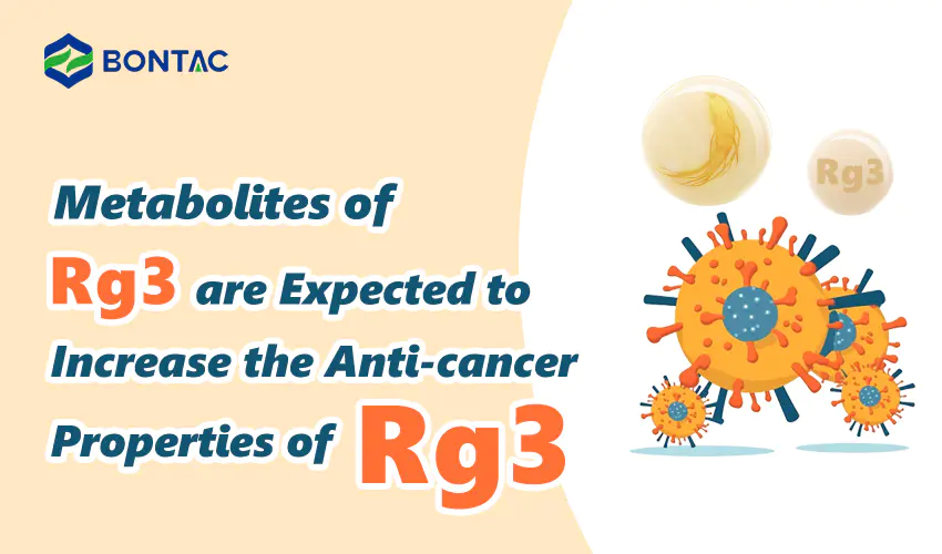 Oczekuje się, że metabolity Rg3 zwiększą właściwości przeciwnowotworowe Rg3