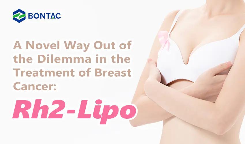 A Novel Way Out of the Dilemma in the Treatment of Breast Cancer: Rh2-Lipo