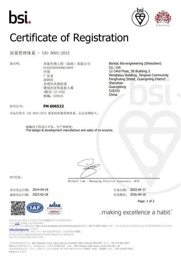 Certyfikat ISO9001