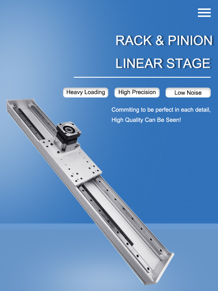 Rack and Pinion Driven Linear Module
