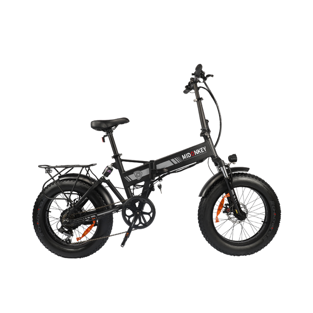 ParKar 20 inch 750W Full Suspension Fat Tire Off-road Adults Folding Electric Bike