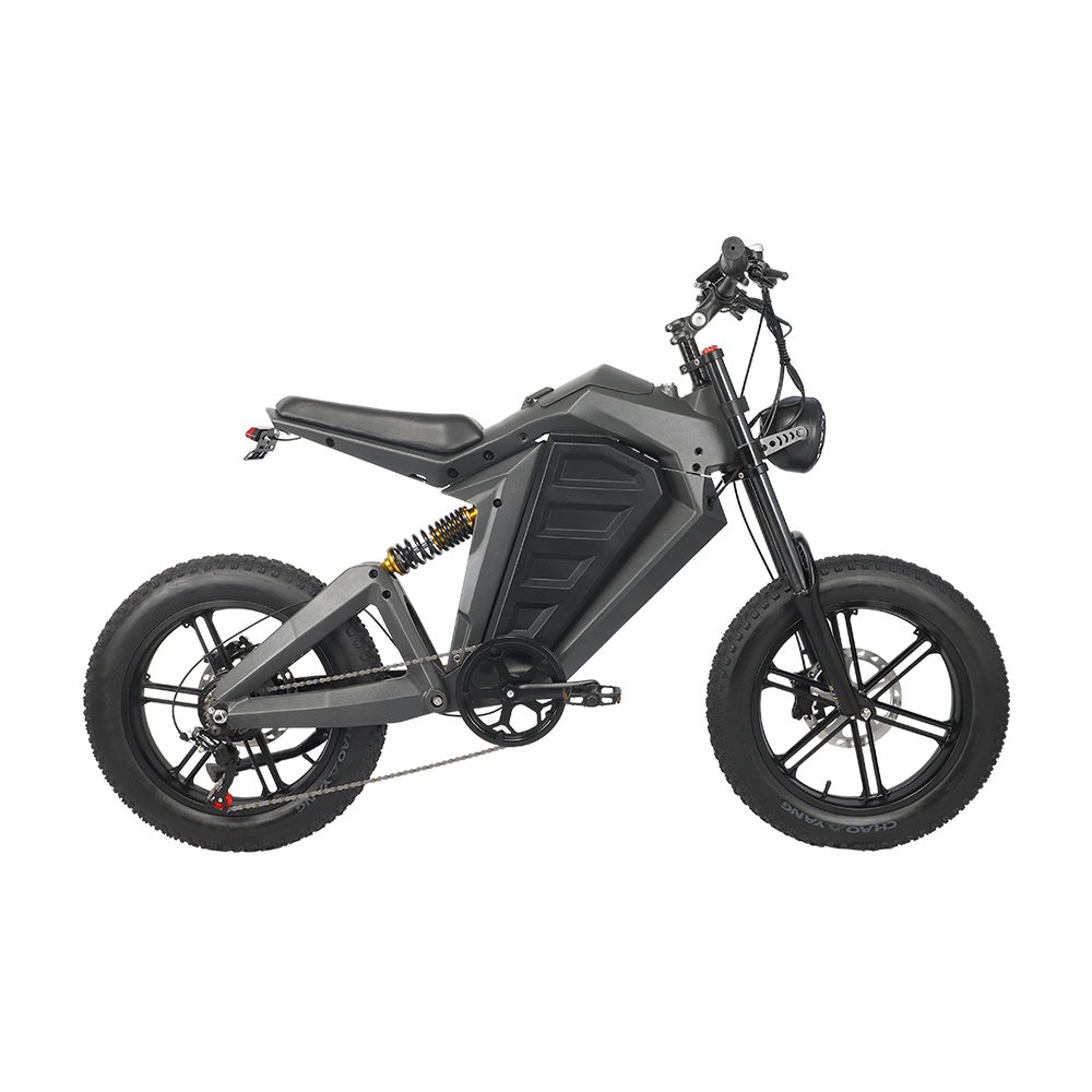 Unleash Your Adventure with a Customized Electric Mountain Bike