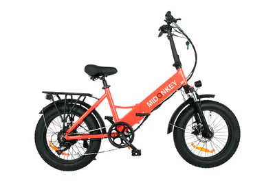 Electric Folding Bikes are a portable travel option