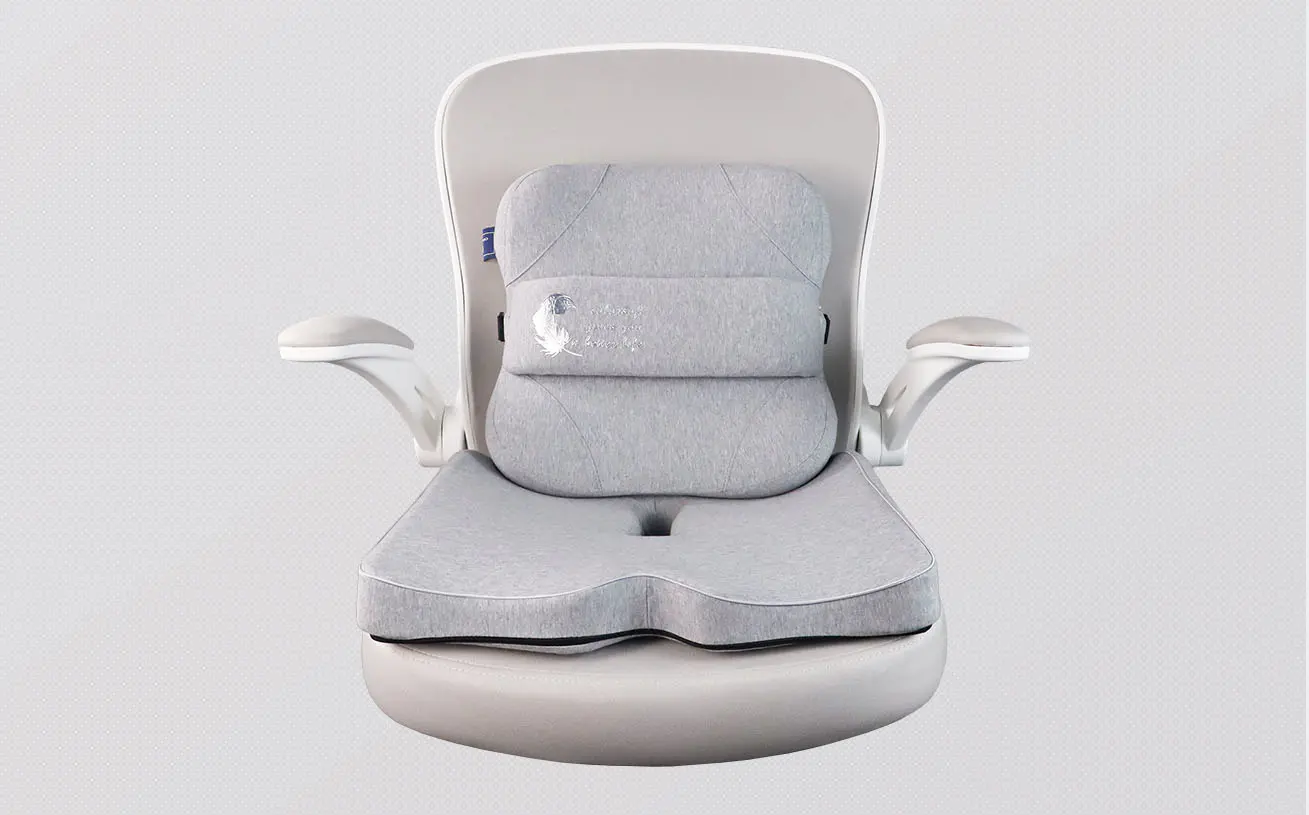 Seat & Lumbar Support Cushion