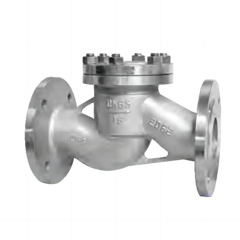 Stainless steel lift check valve