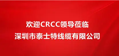 Welcome CRCC leaders to Shenzhen Testeck Cable Co.,Ltd