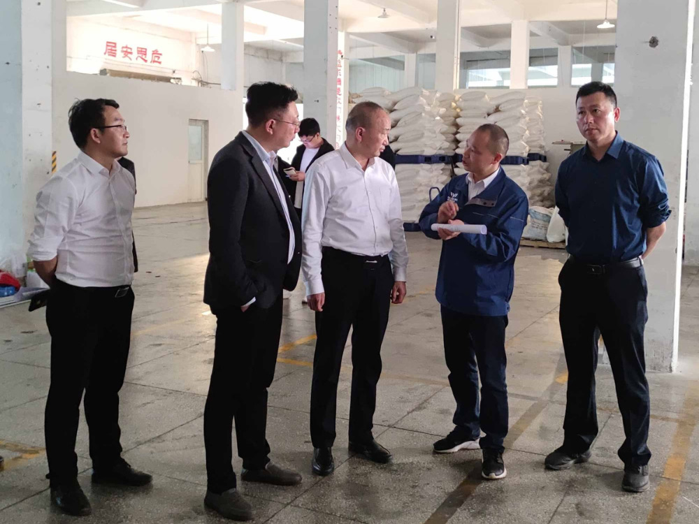 Charting the Future Blueprint: Provincial Leader Visits Our Company's Factory for Inspection